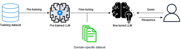 fine tuning Adapting Open-Source LLMs: Optimization Techniques Explored